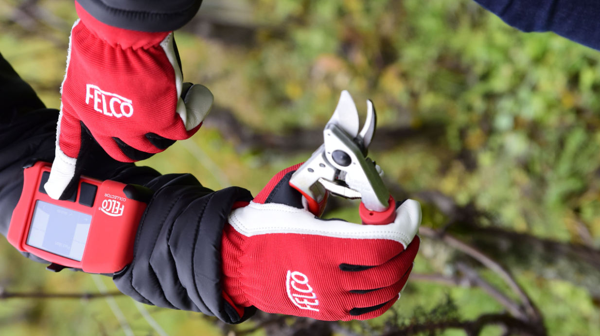 Disruption digitale dans la vigne, une affaire d’écosystème!