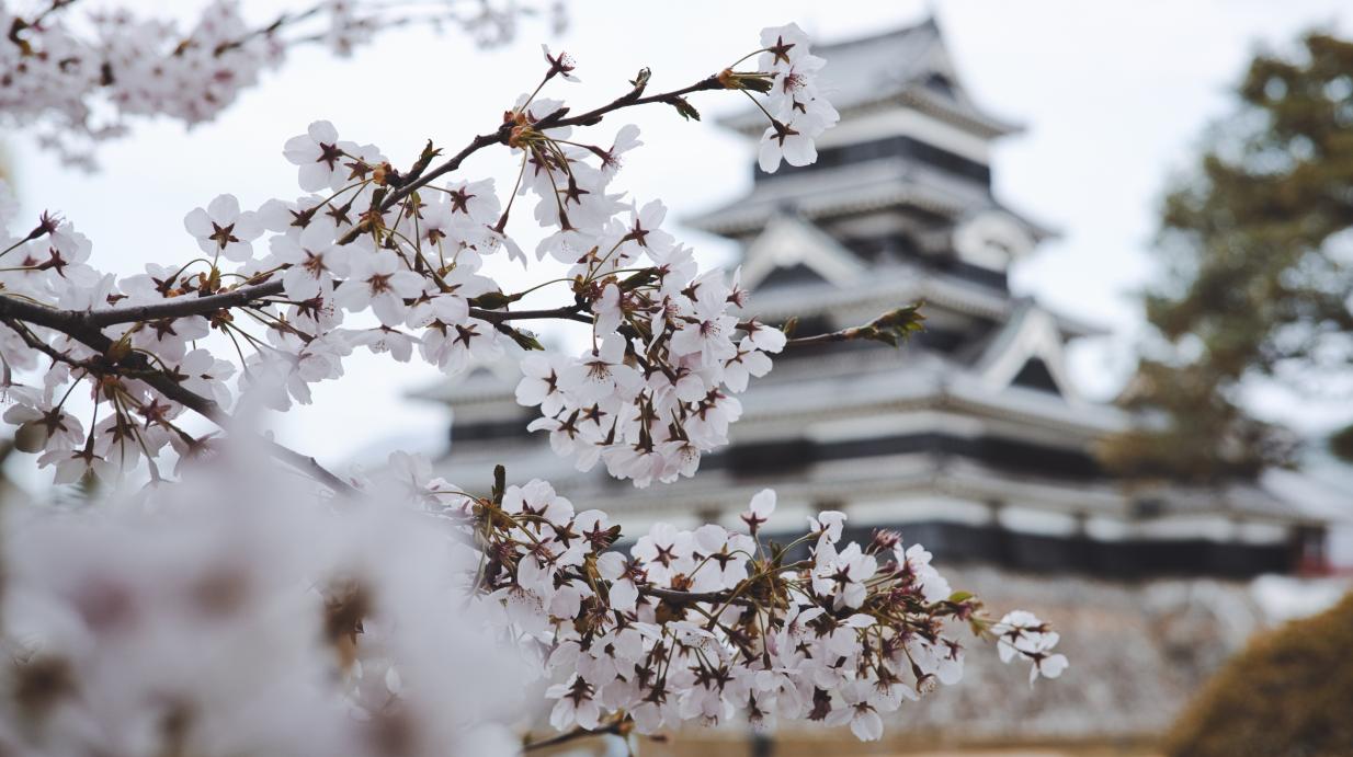 Faire des affaires au Japon implique d'y connaître les règles d'usage