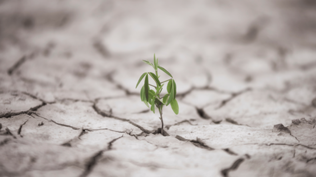 Comment améliorer la résilience de mon entreprise dans un monde en crises récurrentes ?