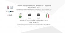 Tout nouveau design pour l'enquête conjoncturelle du printemps 2023