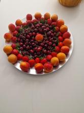 Accueil fruité pour les participants à la Matinale de l'UNAM. Merci Brigitte pour la DÉCO
